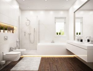 Pinellas County Bathtub Installation iStock 1067383066 300x231